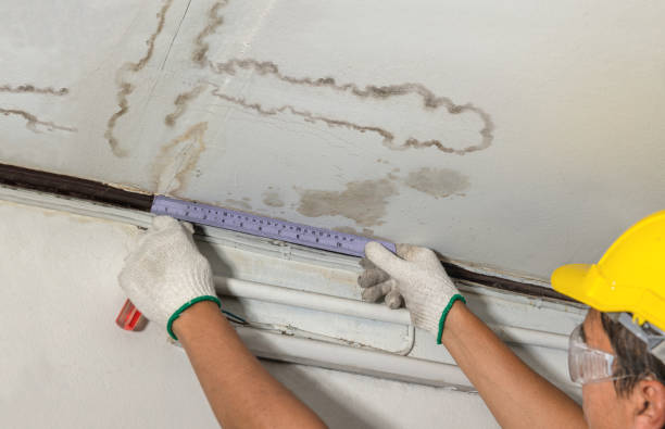 Reliable Water Damage Repair contractor in Des Plaines, IL by Aqua Guard Water Damage